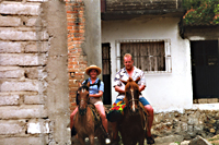 horses